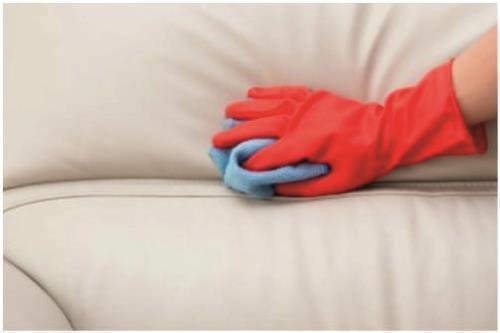 Cushions Cleaning (set of 5)