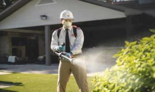 1 Months Plan Protection-2BHK(2visits)