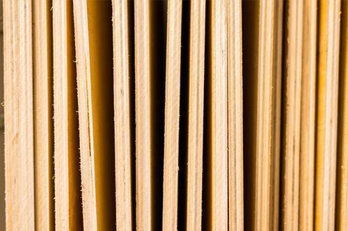 Plyboard, Sainik & Tiger