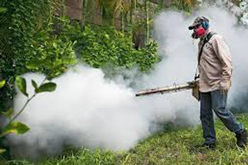 Mosquito Control Service