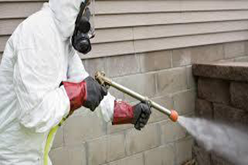 Termite Control Service